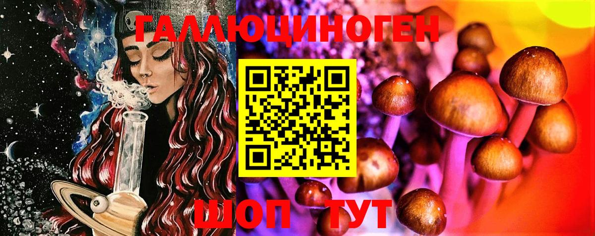 Галлюциногенные грибы MAGIC MUSHROOMS Черняховск