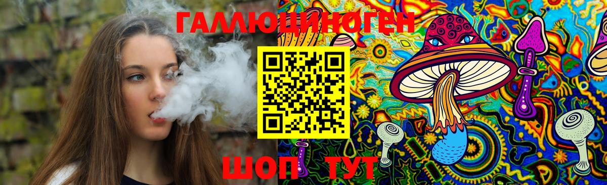 Черняховск  Псилоцибиновые грибы GOLDEN TEACHER  Галлюциногенные грибы GOLDEN TEACHER  Вход с VPN 